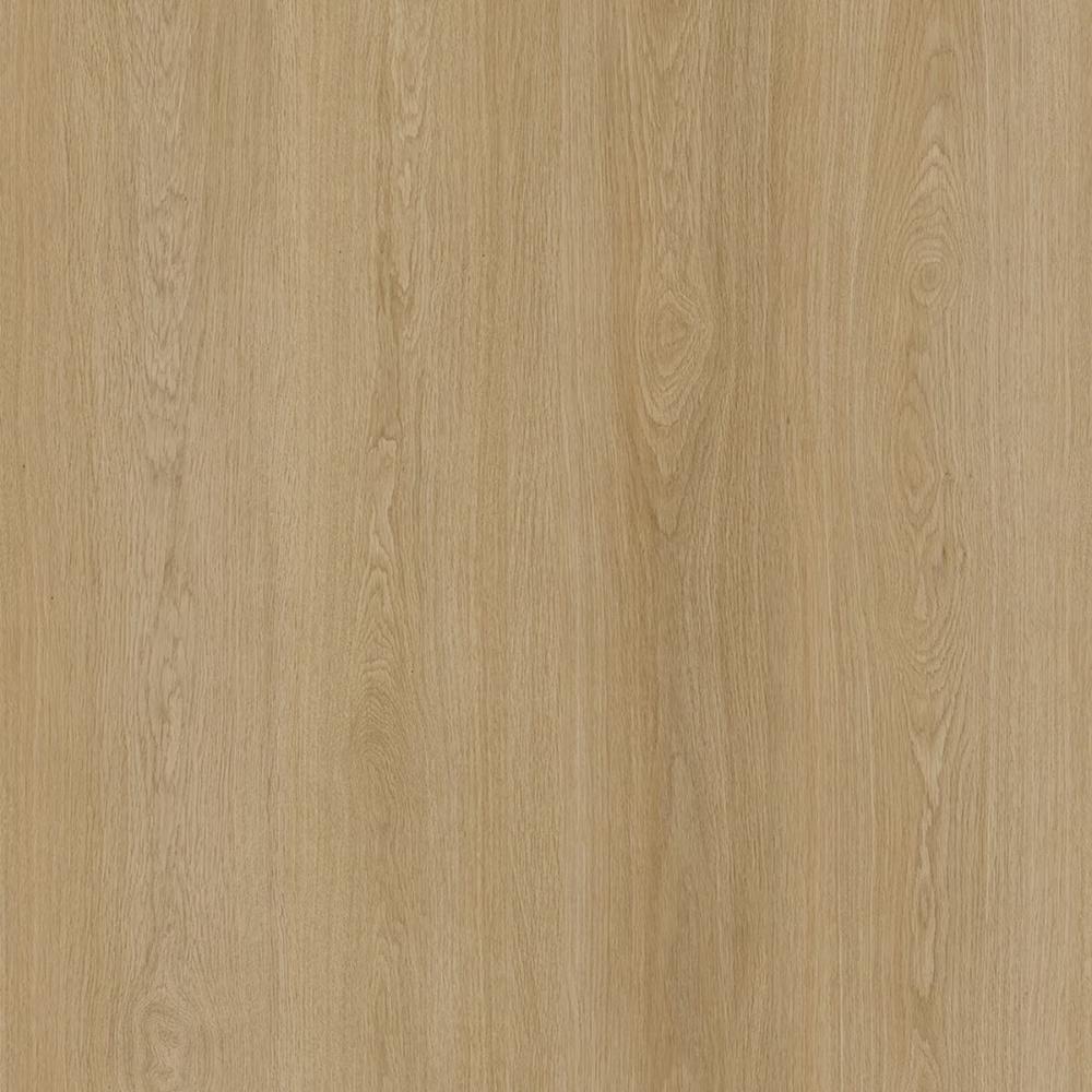 (image for) Parkay XDP Dryback Extreme 9-1/4\" x 60\" Waterproof Luxury Vinyl Plank DB - Dawn XDP-PARDRYDAW 11503